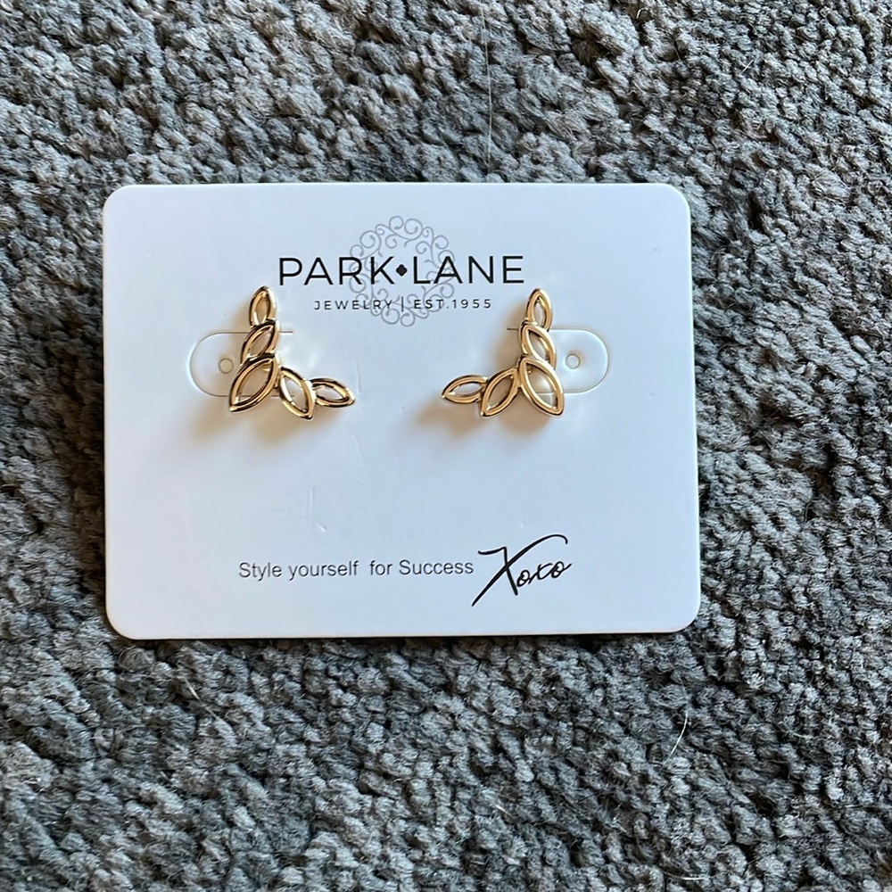 NEW Park Lane Crepe gold earrings